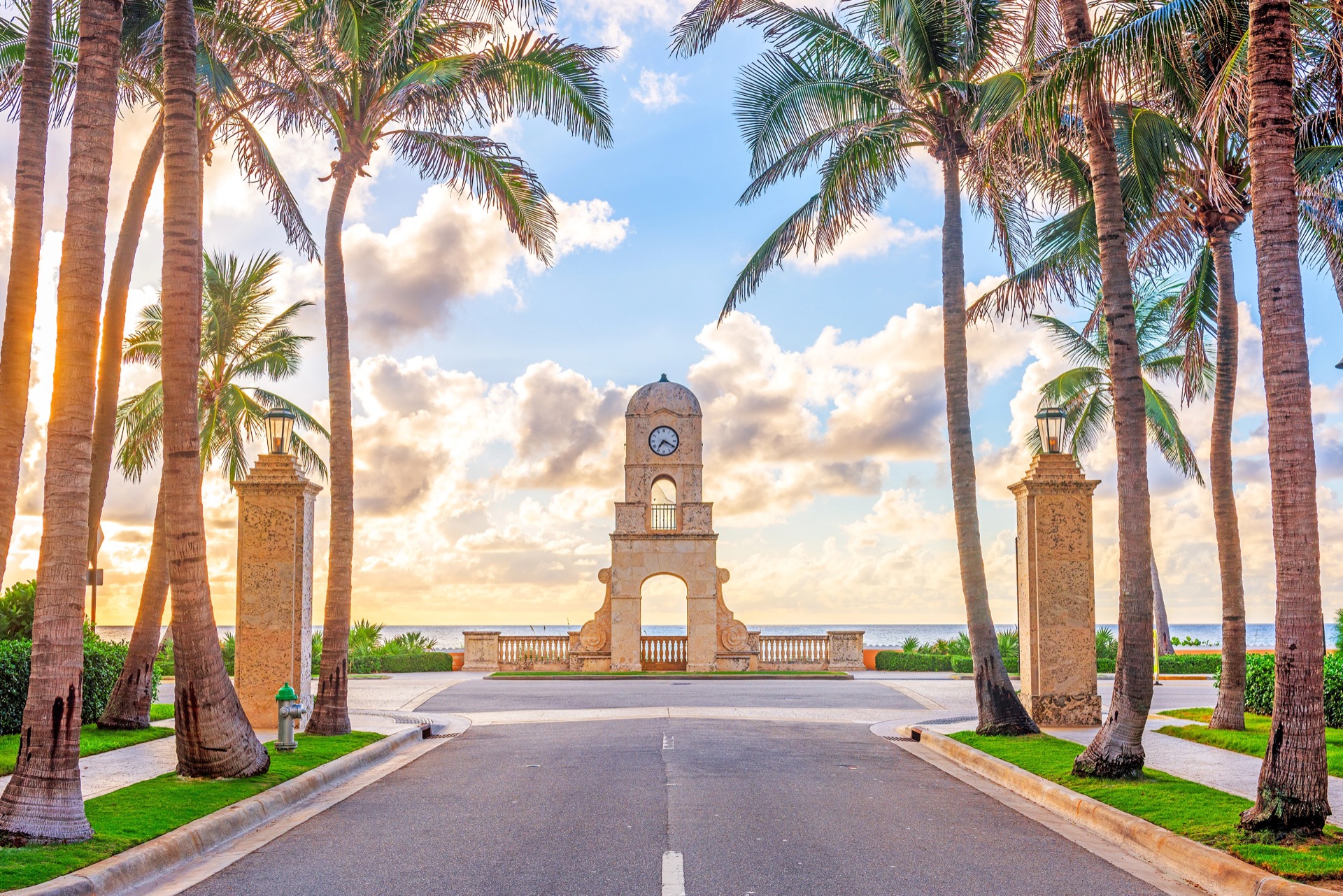 Only Rent cars, vans, and SUVs lined up and ready for a West Palm Beach trip